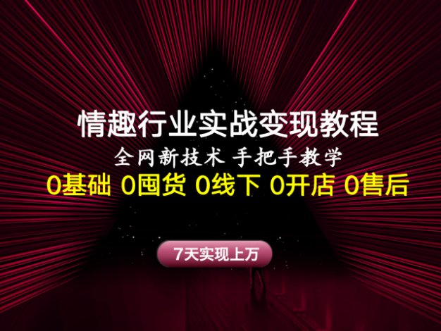 情趣行业实战变现教程，全网新技术，手把手教学，7天实现上万