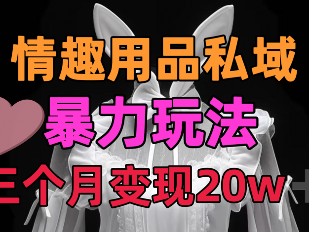 情趣用品私域，25年最新暴力玩法，三个月变现20w➕